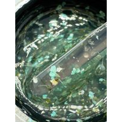 flower gel 02